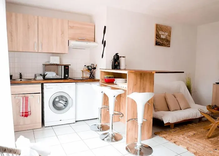 Apartment Echappee Chic Toulousaine