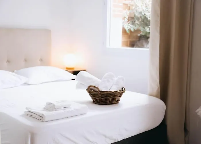 Apartment Echappee Chic Toulousaine Toulouse